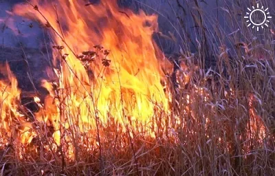 На северо-востоке Астрахани экипажи МЧС сражаются с ландшафтным пожаром