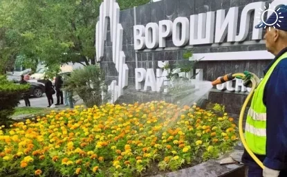 В Ростове высадят почти миллион летних цветов