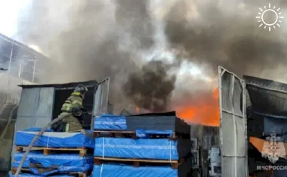 В Ростове на левом берегу Дона вспыхнул крупный пожар на складе