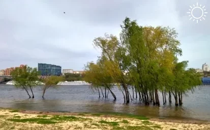 Синоптики спрогнозировали жару до +33°С и сильный ветер на выходных в Ростовской области