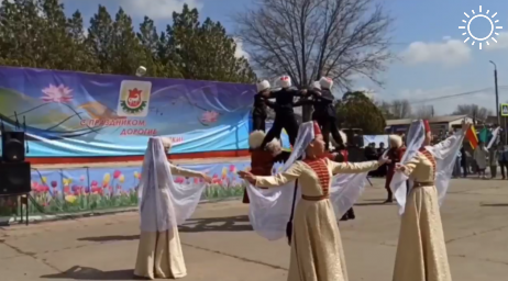 В районе Калмыкии пройдет мероприятие в рамках Фестиваля тюльпанов
