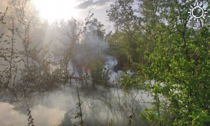 Лесной пожар под Армавиром потушили