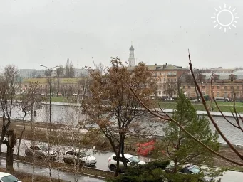 Понедельник в Астраханской области начнется с мокрого снега