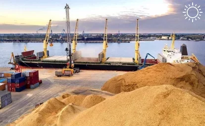 Владелец крупнейшего зернотрейдера Ростовской области ТД «РИФ» допустил ликвидацию компании