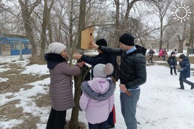 Волгоградские школьники позаботились о птицах и устроили им столовую