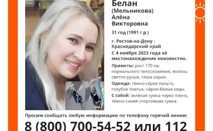 Бастрыкин потребовал доклад об исчезновении матери двух детей из Ростова