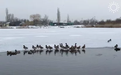 В Ростовской области ожидается резкое понижение температуры до –18 °С