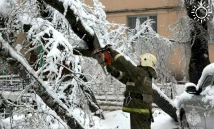 Из-за ледяного дождя без света остаются 100 тыс. жителей Ростовской области