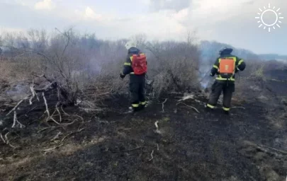 Под Астраханью ликвидировали ландшафтный пожар, горевший более четырех часов