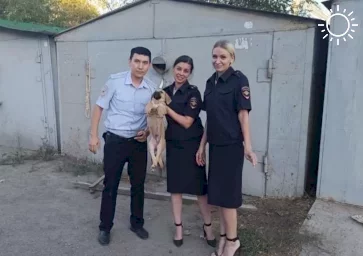 В Астрахани спасатели и полиция выезжали на необычный вызов