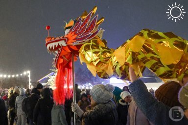 Сразу три 10-метровых дракона заглянут в ЦПКиО Волгограда