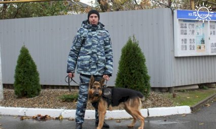 Служебный пес Мухтар помог найти двух женщин, заблудившихся в лесу на Кубани