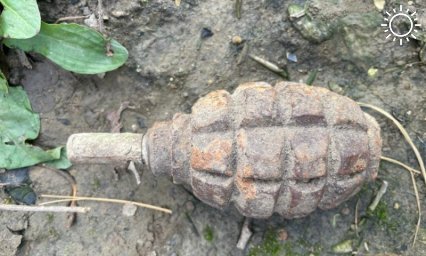 Гранату, мины и боевые снаряды нашли на этой неделе в огородах жители Кубани