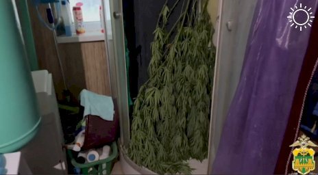 В Крымске будут судить мужчину, хранившего более 1 кг конопли в душевой кабине