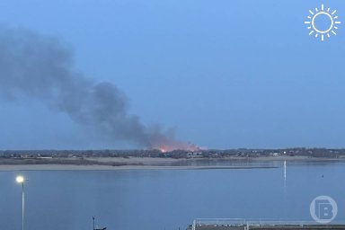 Причиной пожара на полигоне в Волжском под Волгоградом мог стать поджог