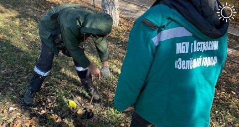 Зима близко: астраханские общественные территории готовят к ее приходу