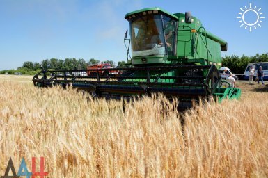 В ДНР вдвое увеличили размер ряда субсидий для аграриев