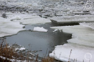 В Волгограде до конца недели будет сыро и тепло