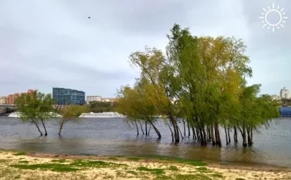 Грозовые дожди ожидаются в Ростовской области на выходных