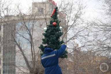 Почти половина волгоградцев утилизируют новогодние елки экологичными способами