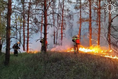 Крупный ландшафтный пожар полыхал под Волгоградом
