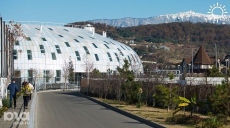 В Сириусе в конце года появятся субтропический парк и концертный центр