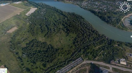 СК проверит информацию о вырубке деревьев в Краснодарском лесопарке