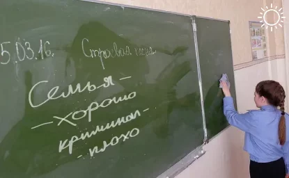 В школах Ростовской области введут уроки семьеведения