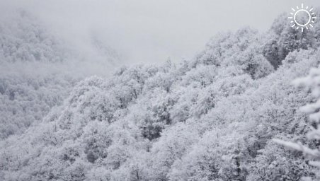 Жителей и гостей Сочи предупредили о сильном снегопаде в горах