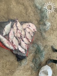 Незаконный вылов рыбы пресекли в одном из районов Калмыкии