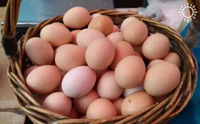 Власти Ростовской области собрались увеличить производство яиц в 2024 году