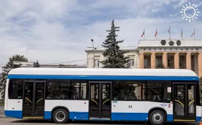 Власти Ростова готовы заплатить 42,6 млн рублей, чтобы им объяснили, как развивать общественный транспорт