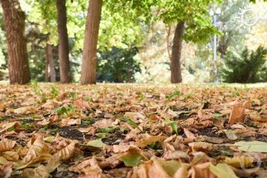 Житель Волгоградской области пошел на охоту и умер