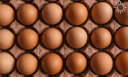 Росстат: цены на куриные яйца в РФ снизились впервые с конца июня 2023 года