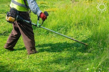 Администрация города призывает луганчан к участию в покосе травы и карантинных растений