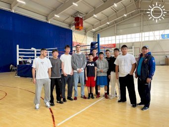 Калмыцкие боксеры завоевали награды в Астрахани