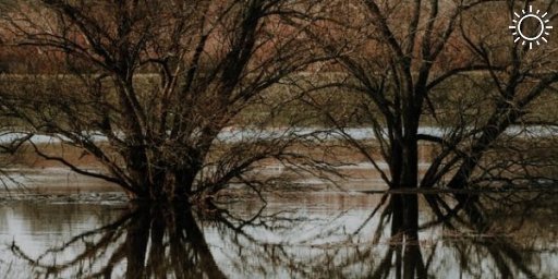После дождей в горных реках Краснодарского края резко поднялся уровень воды