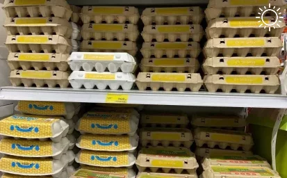 Эксперт рассказал, как после поставок из Турции изменятся цены на яйца в Ростовской области