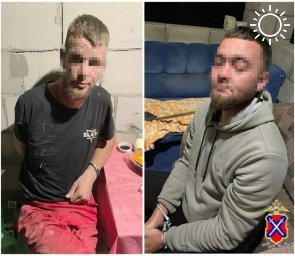В Волгограде задержали двух мужчин за кражи из магазинов