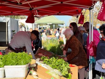 На ярмарках Симферополя продали более 50 тонн продукции