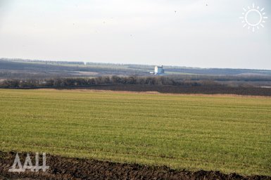 Аграрии ДНР перевыполнили план сева ранних яровых культур