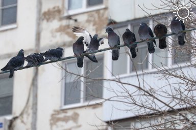 В начале февраля погода преподнесет сюрпризы волгоградцам