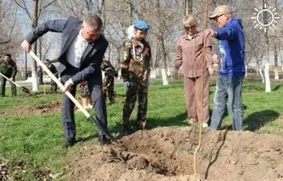 В астраханском селе посадили именные деревья памяти пяти погибших воинов СВО