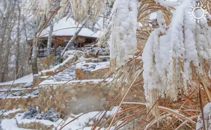 В Ростовской области резко похолодает с +17 °С до –11 °С