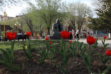 Калмыкия встречает туристов: Фестиваль тюльпанов набирает обороты