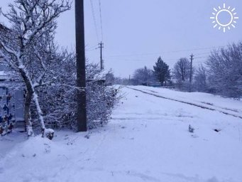 На север Ростовской области обрушился снегопад, в столице Дона ветер повалил десятки деревьев