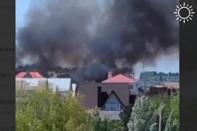 Стену огня в ЖК "Комарово" волгоградцы сняли на видео