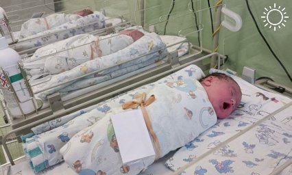 Кондратьев: на Кубани в новогоднюю ночь родились 40 детей