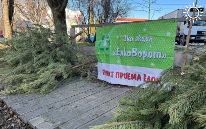 Как крымчане могут подарить новогодней ёлке вторую жизнь
