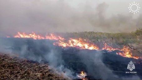 В Ростовской области ввели режим ЧС из-за сухой погоды и штормового ветра